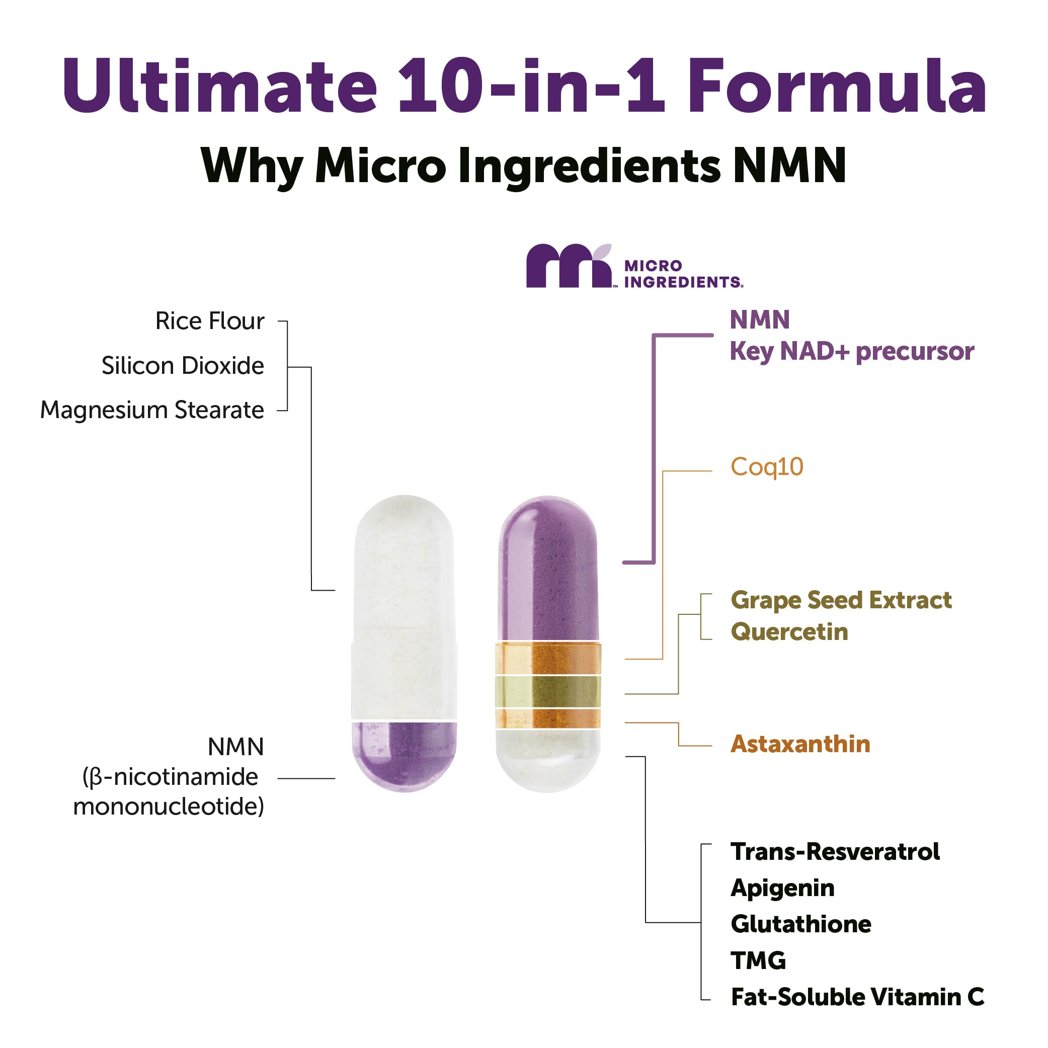 NMN Complex 1,000mg Per Serving, 60 Veggie Capsules | 10-in-1 with Nicotinamide Mononucleotide, Vitamin C, Resveratrol, CoQ10, TMG, Quercetin, & Glutathione | NAD+ Supplement Precursor | Filler Free