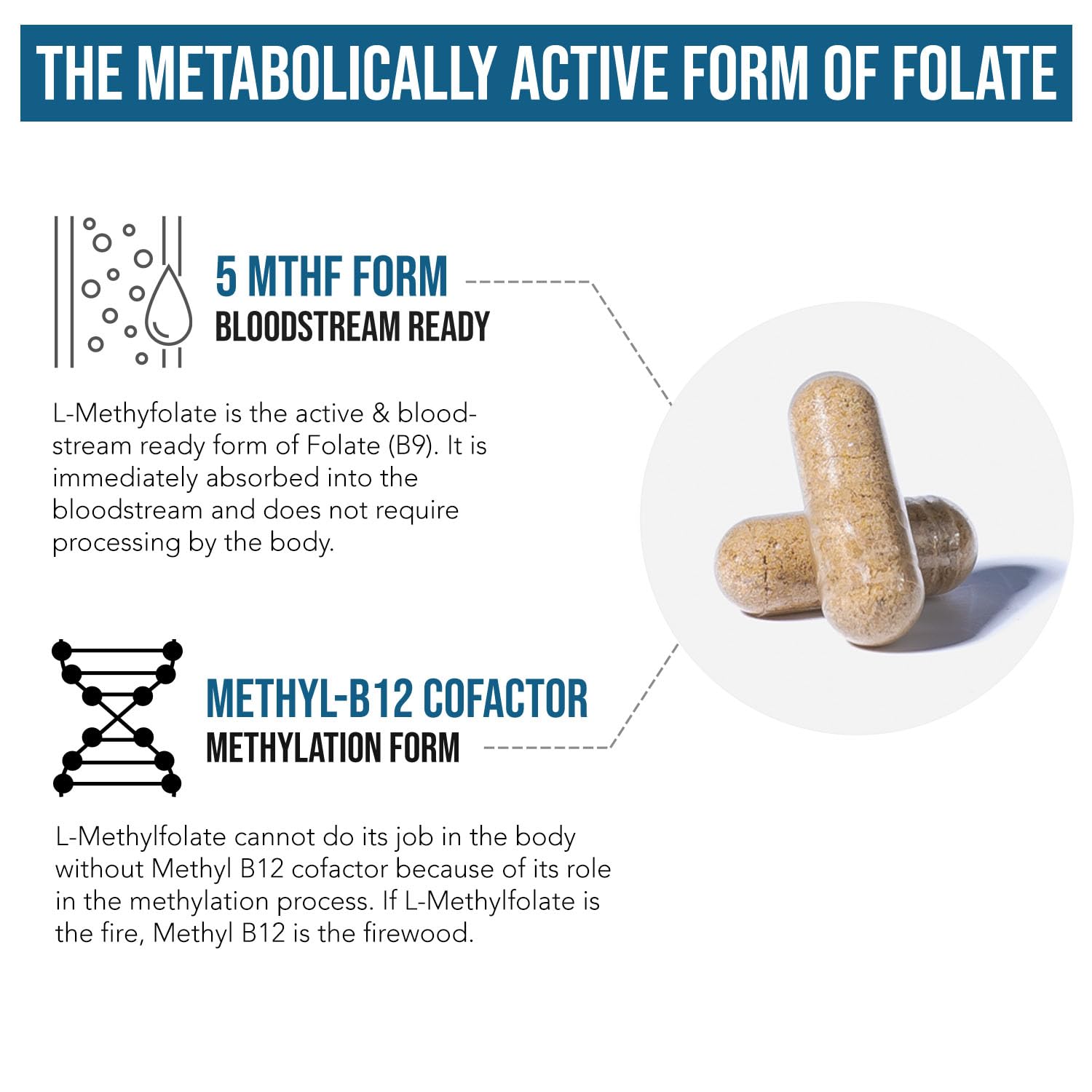 L Methyl Folate 15mg Plus Methyl B12 Cofactor – Organic Berry Flavor, High Potency Liquid Sublingual Active 5-MTHF Form - Supports Mood, Methylation, Cognition – Bioactive Forms Vitamin B9 & B12 (1oz)